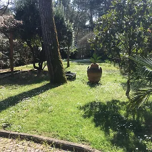 Old Town In The Green: Federico's Apartment. Apartamento